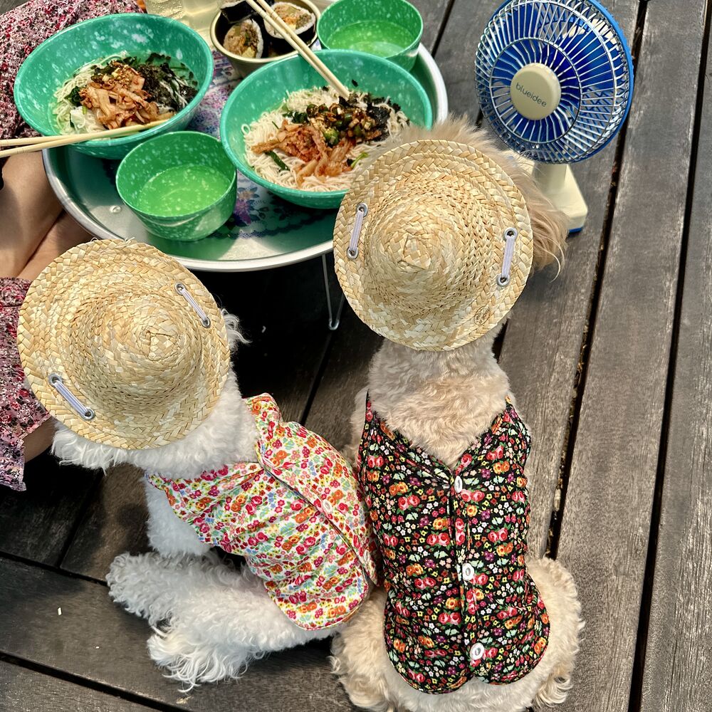 Retro K-style Floral_vest, hat