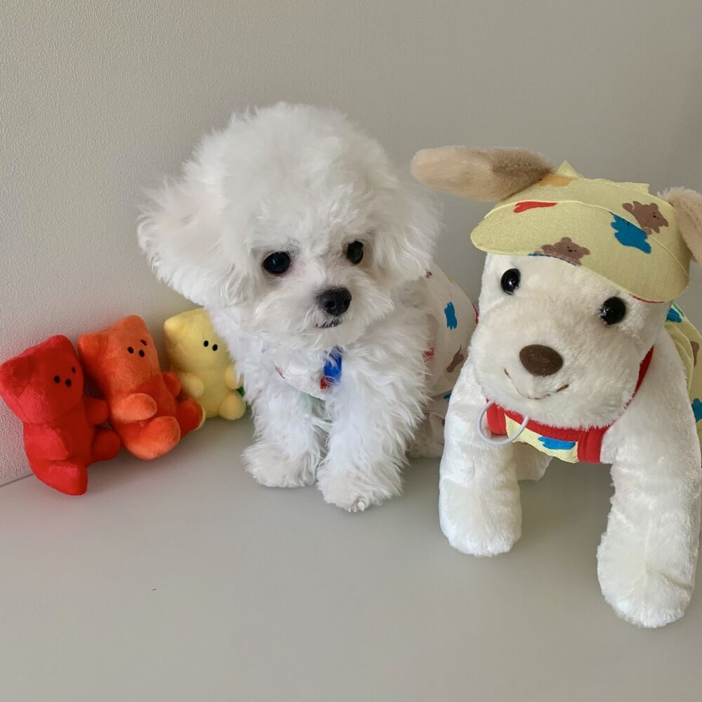 Jelly Bear_pants, hat