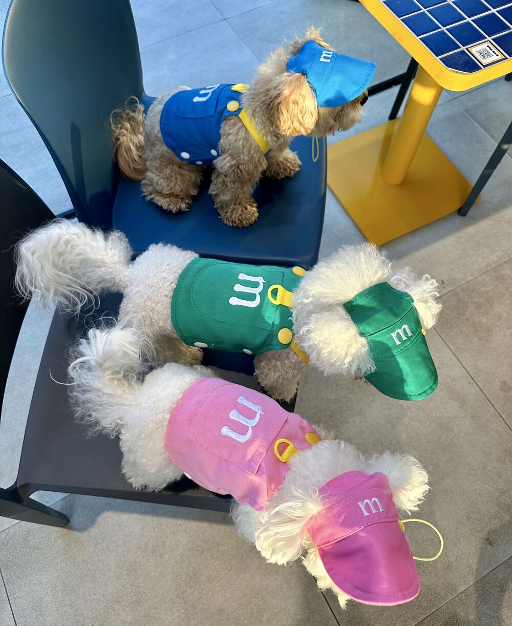 M&M_Harness, Leash, Hat