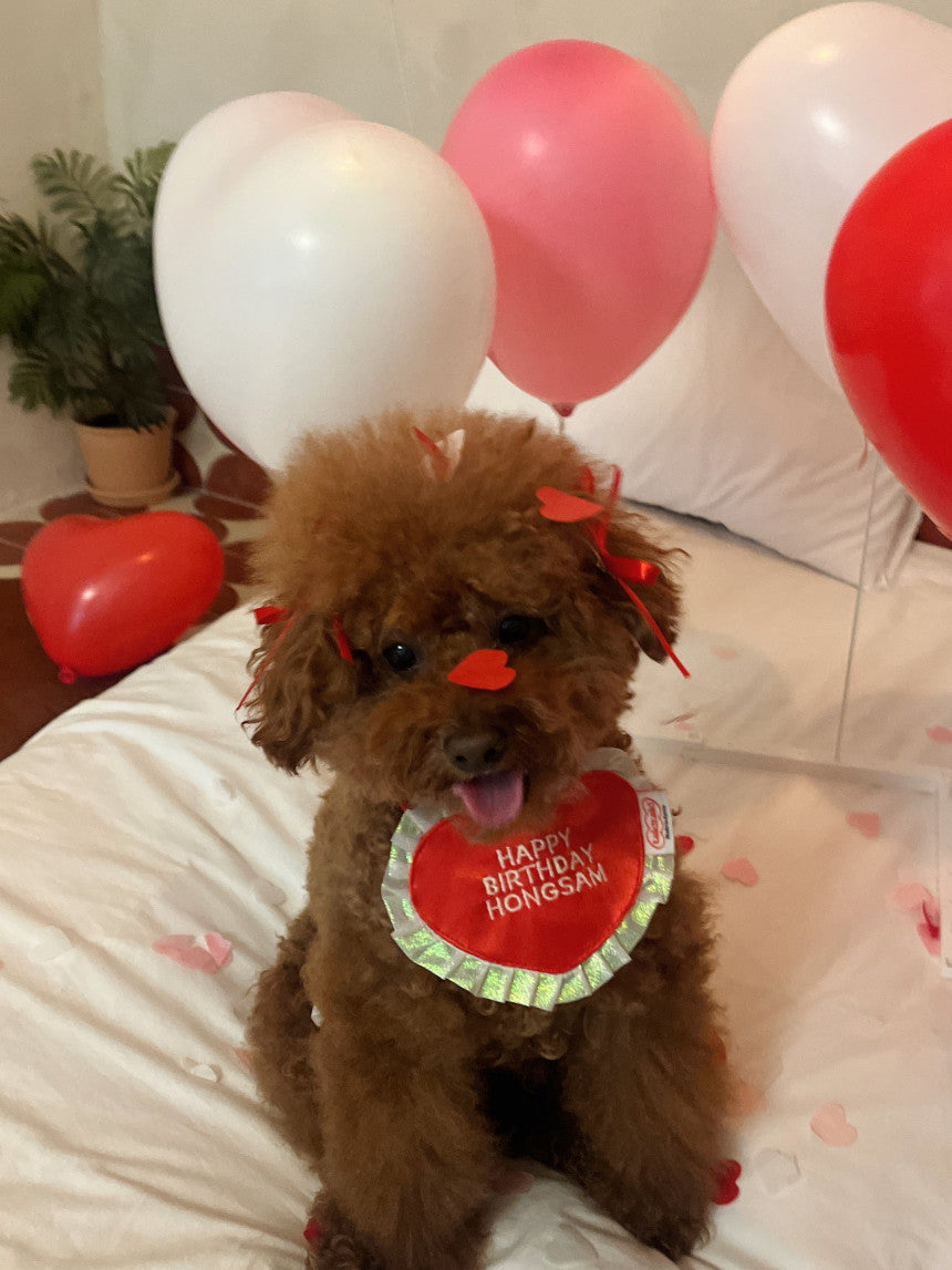 Heart Heart Series_bib