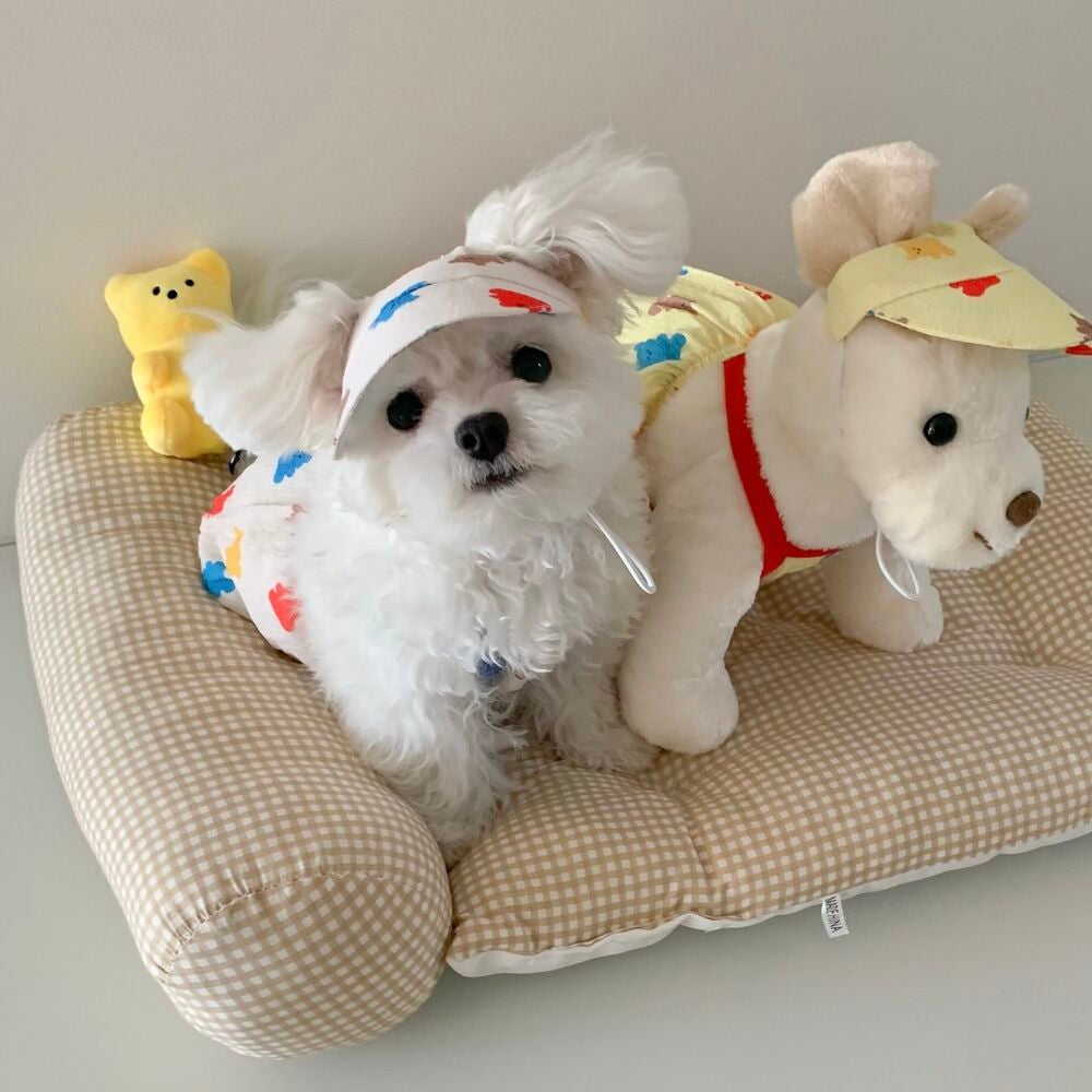 Jelly Bear_pants, hat